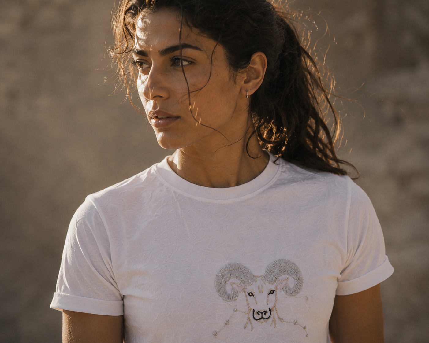 Aries T-shirt